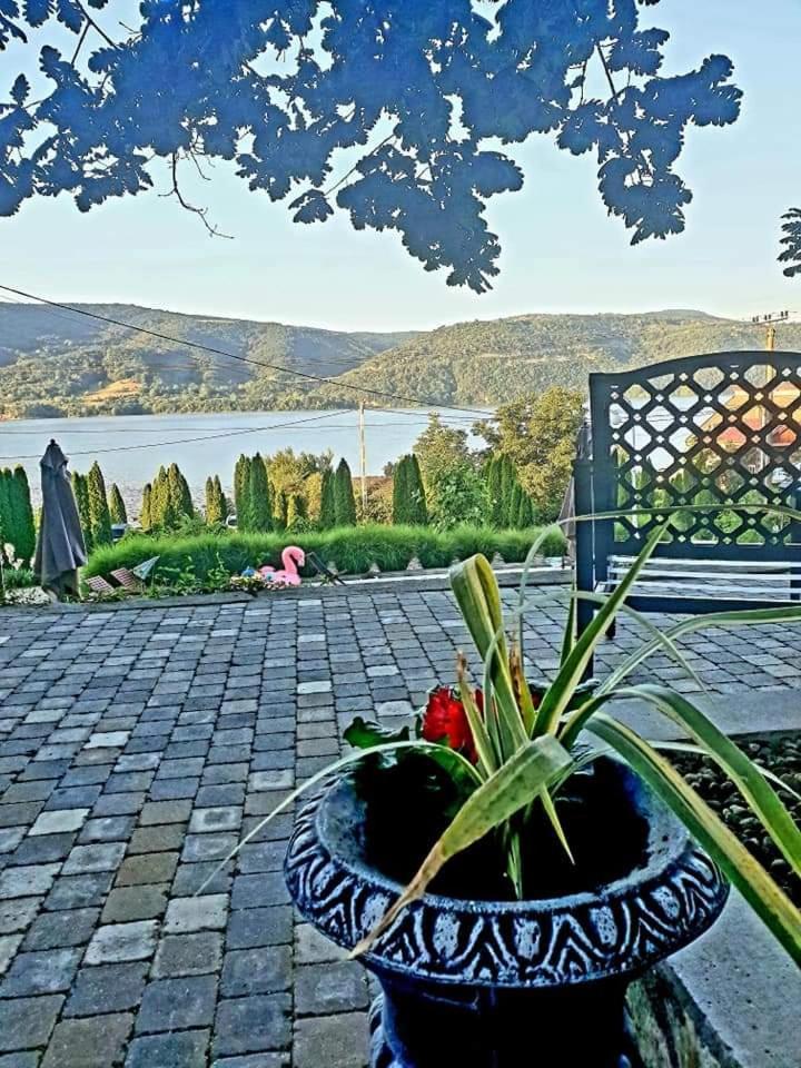 Pensiunea Casa Mircea & Restaurant Ieşelniţa Dış mekan fotoğraf