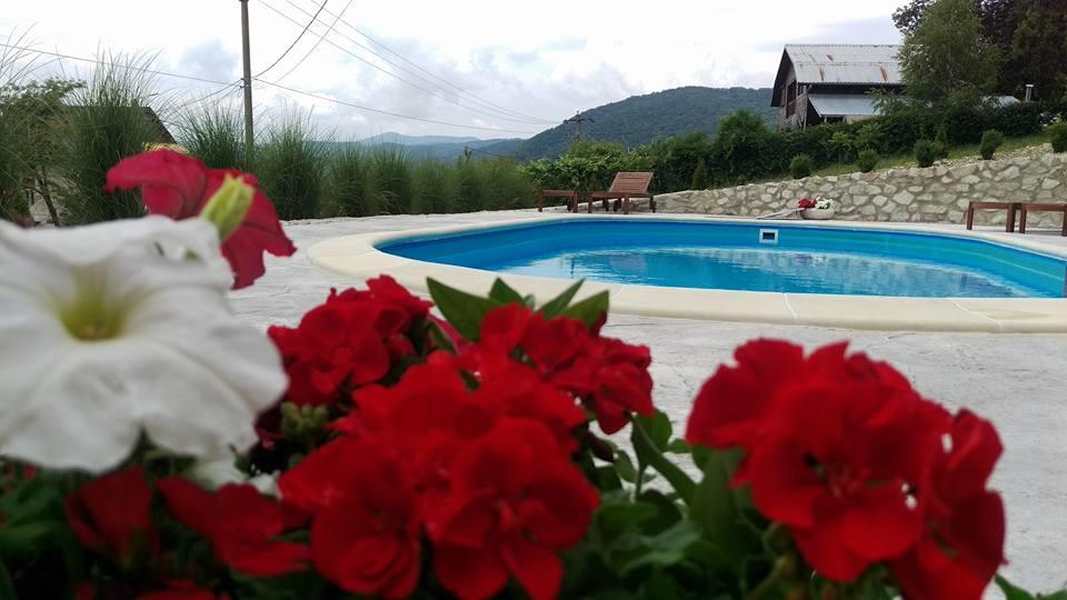Pensiunea Casa Mircea & Restaurant Ieşelniţa Dış mekan fotoğraf
