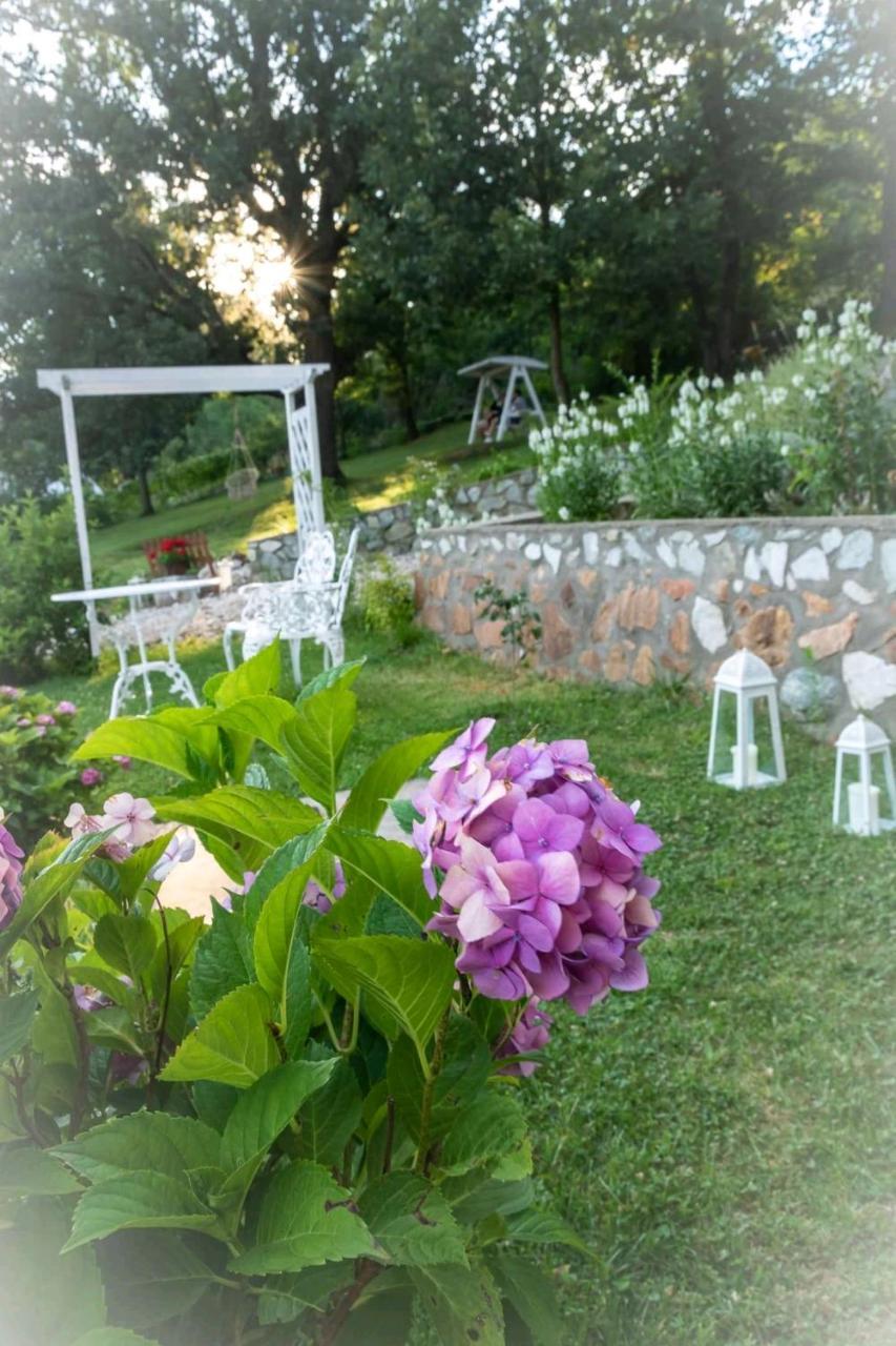 Pensiunea Casa Mircea & Restaurant Ieşelniţa Dış mekan fotoğraf