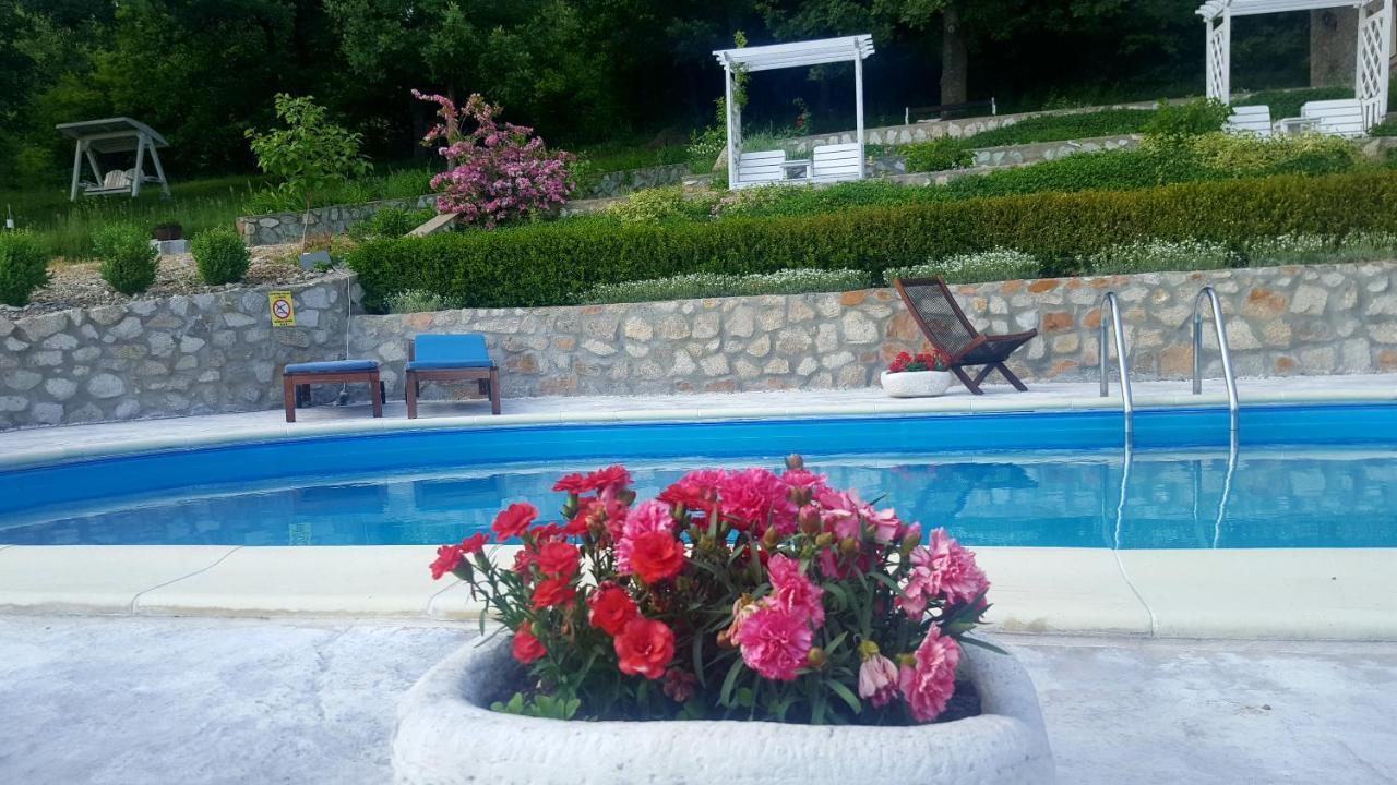 Pensiunea Casa Mircea & Restaurant Ieşelniţa Dış mekan fotoğraf